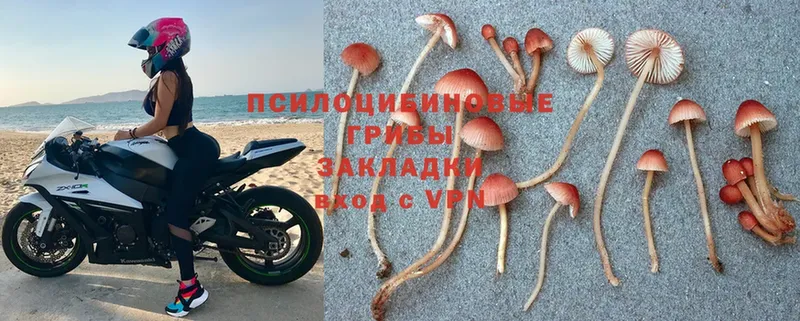 гидра ССЫЛКА  Партизанск  Галлюциногенные грибы Magic Shrooms 